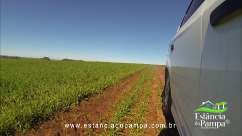 VAI DA BR PARA A FAZENDA.00_01_39_01.Quadro018_07531668c05f45b52746676292a118f662beccc4.jpg